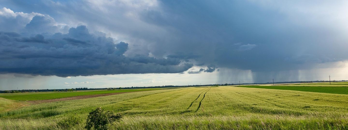 Feldlandschaft mit Gewitterhimmel – Haftpflicht und Rechtsschutz für landwirtschaftliche Betriebe
