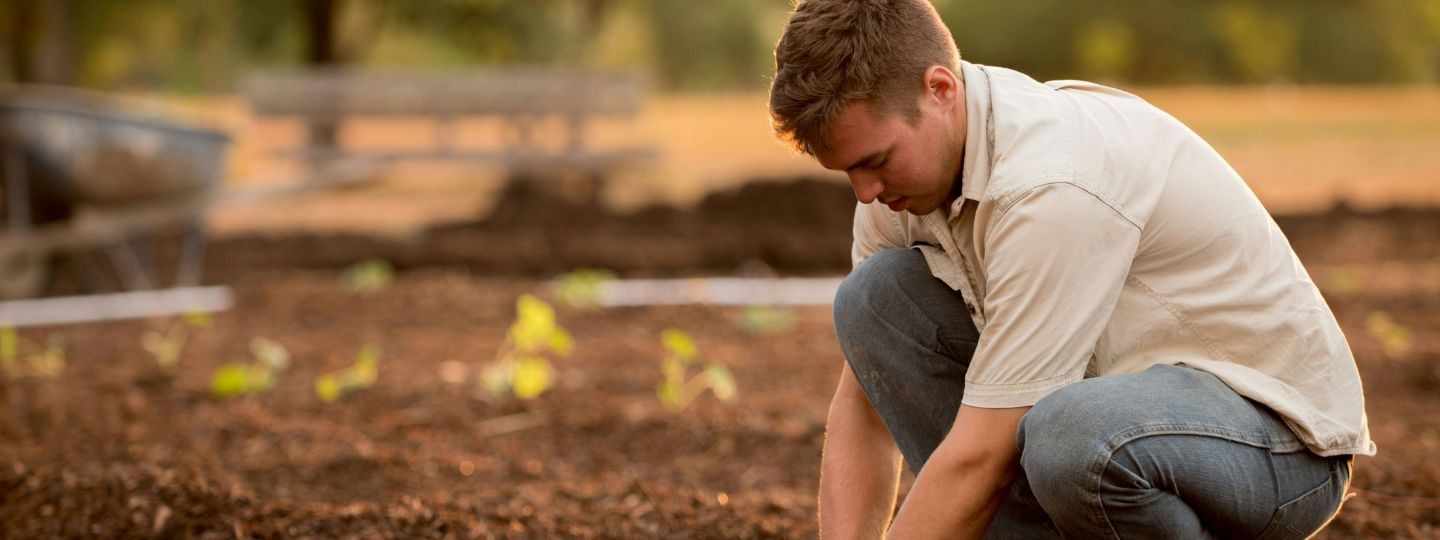Älterer Landwirt schaut über das Feld in den Sonnenuntergang
