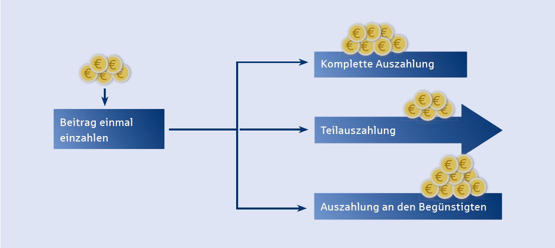 Ilustration mit den unterschiedlichen Auszahlungsoptionen: einmalige Auszahlung und Geld ruhen lassen, Geld vollständig auszahlen lassen, Teilauszahlung und lebenslange Rente oder vollständig als lebenslange Rente auszahlen lassen