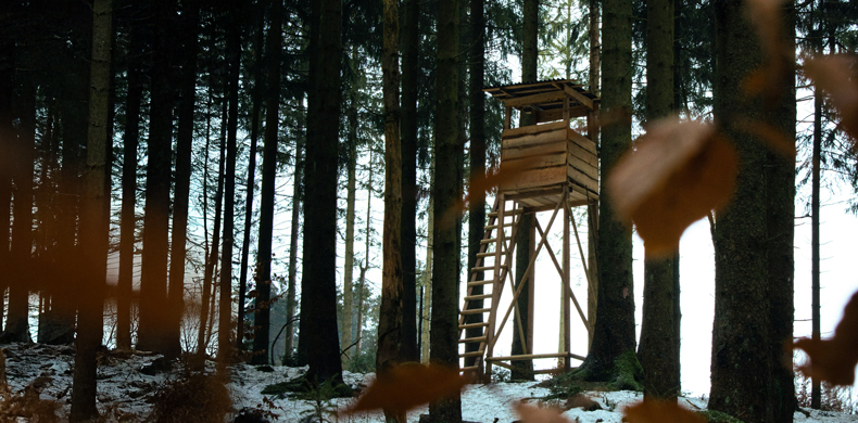 Jäger-Hochsitz im Wald