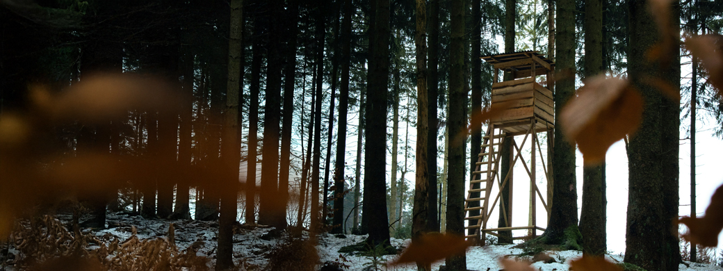 Jäger-Hochsitz im Wald