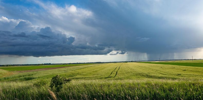 Feldlandschaft mit Gewitterhimmel – Haftpflicht und Rechtsschutz für landwirtschaftliche Betriebe