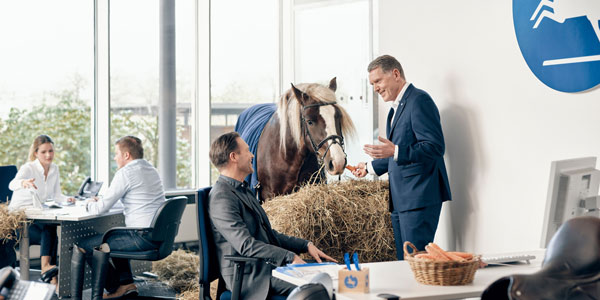 Axel Milkau (links im Vordergrund) und Knud Maywald (rechts), der CLASSICO und die Öffentliche, durch die Pferde verbunden – in diesem Fall durch Pferd Mentor