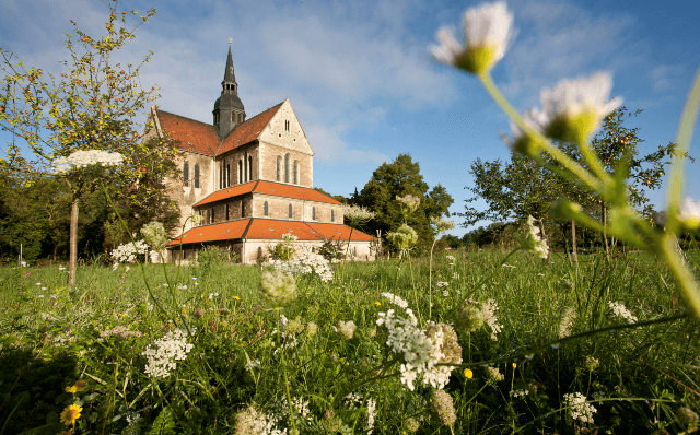 Haus im Grünen- Umweltpolitik