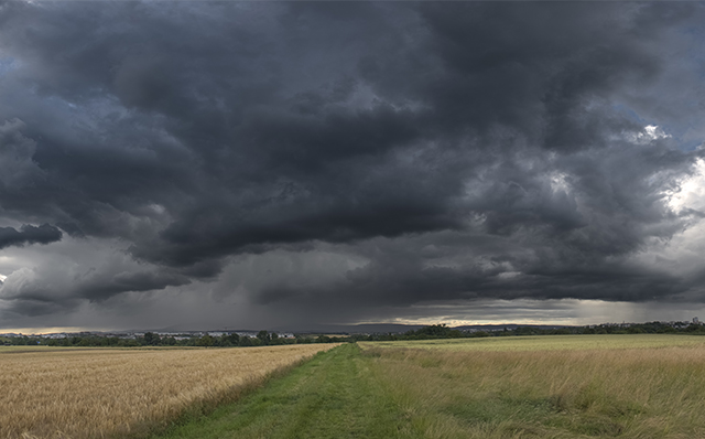 Über dem Feld eine große dunkle Wolke